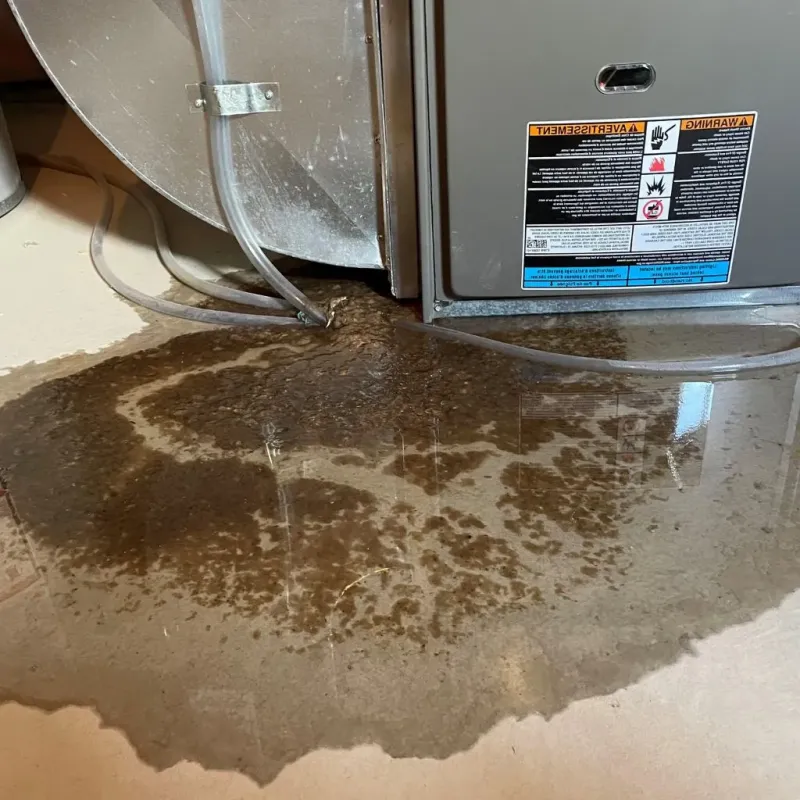 Pipe Burst and Leak Restoration in Tappahannock, VA