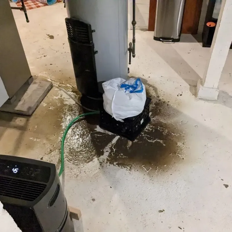 Sewage Backup Cleanup Service in Tappahannock, VA
